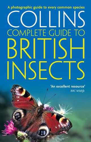 British Insects: A Photographic Guide to Every Common Species - Collins Complete Guide Michael Chinery 9780007298990 book cover