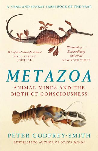 Metazoa: Animal Minds and the Birth of Consciousness Peter Godfrey-Smith 9780008321239 book cover