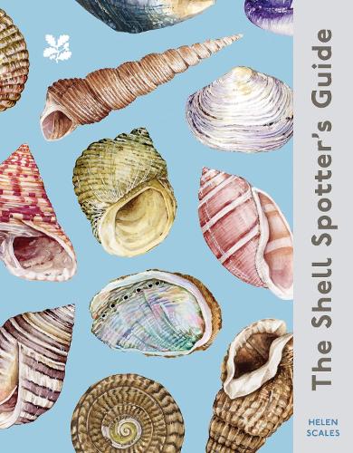 The Shell Spotters Guide - National Trust Helen Scales 9780008641313 book cover