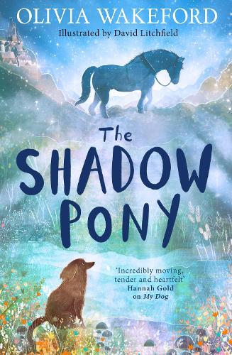 The Shadow Pony Olivia Wakeford, David Litchfield 9780008658618 book cover
