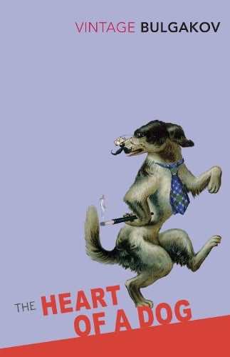 The Heart Of A Dog Mikhail Bulgakov, Andrey Kurkov, Michael Glenny 9780099529941 book cover