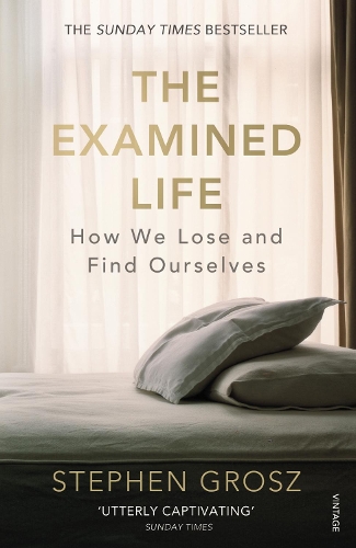 The Examined Life: How We Lose and Find Ourselves Stephen Grosz 9780099549031 book cover