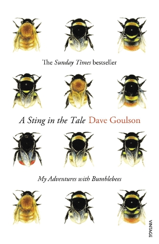 A Sting in the Tale: My Adventures with Bumblebees Dave Goulson 9780099575122 book cover