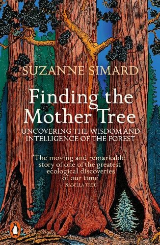 Finding the Mother Tree: Uncovering the Wisdom and Intelligence of the Forest Suzanne Simard 9780141990286 book cover