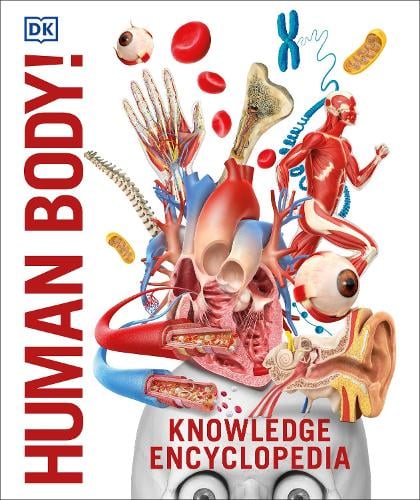 Knowledge Encyclopedia Human Body! - DK Knowledge Encyclopedias DK 9780241286852 book cover