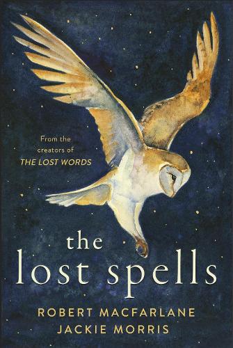 The Lost Spells Robert Macfarlane, Jackie Morris 9780241444641 book cover