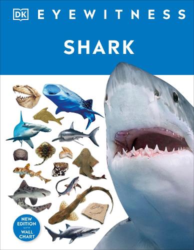 Shark - DK Eyewitness DK 9780241553039 book cover