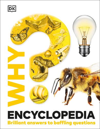 Why? Encyclopedia: Brilliant Answers to Baffling Questions - Why? Series DK 9780241655474 book cover