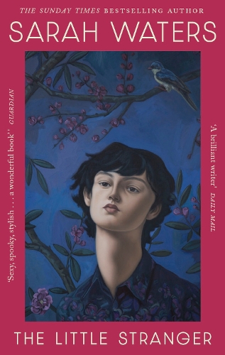 The Little Stranger Sarah Waters 9780349018515 book cover