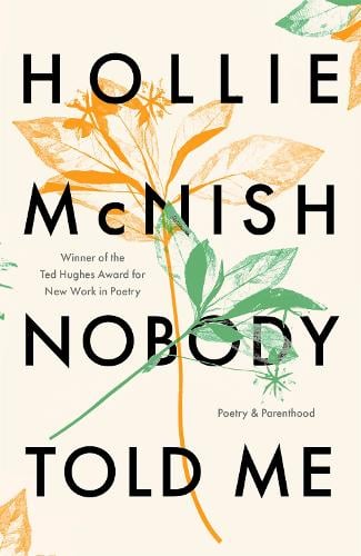 Nobody Told Me: Poetry and Parenthood Hollie McNish 9780349726571 book cover
