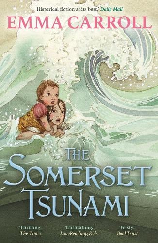 The Somerset Tsunami Emma Carroll 9780571332816 book cover