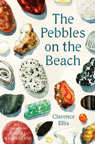 The Pebbles on the Beach Clarence Ellis 9780571347933 book cover