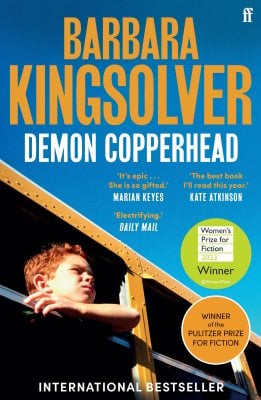 Demon Copperhead Barbara Kingsolver 9780571376483 book cover