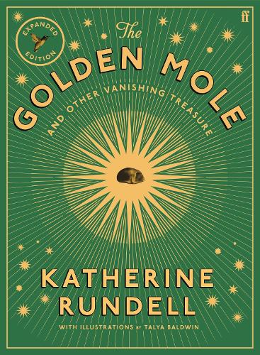 The Golden Mole Katherine Rundell, Talya Baldwin 9780571395316 book cover