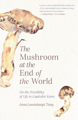 The Mushroom at the End of the World: On the Possibility of Life in Capitalist Ruins Anna Lowenhaupt Tsing 9780691220550 book cover