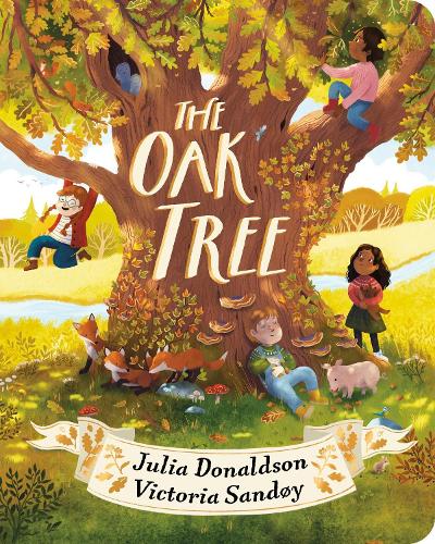 The Oak Tree CBB (Board book) Julia Donaldson, Victoria Sandøy 9780702341403 book cover