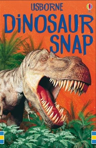 Dinosaur Snap - Snap Cards Usborne, Various 9780746064139 book cover