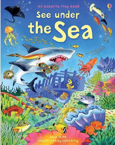 See Under the Sea - See Inside (Board book) Kate Davies, Colin King 9780746096383 book cover