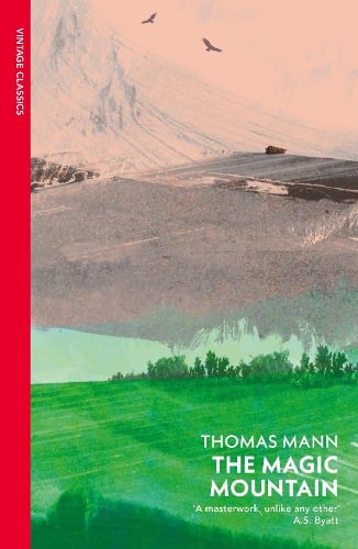 The Magic Mountain Thomas Mann 9780749386429 book cover