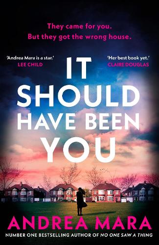 It Should Have Been You Andrea Mara 9780857505873 book cover