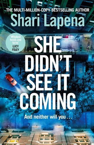 She Didn't See It Coming Shari Lapena 9780857506191 book cover