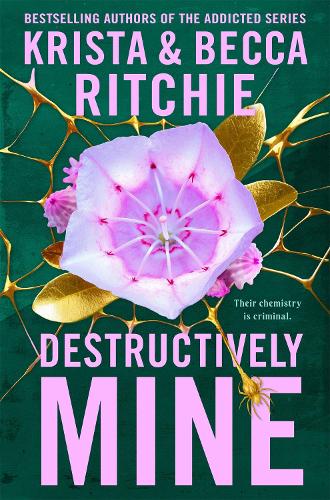 Destructively Mine - Webs We Weave Krista Ritchie, Becca Ritchie 9781035025114 book cover