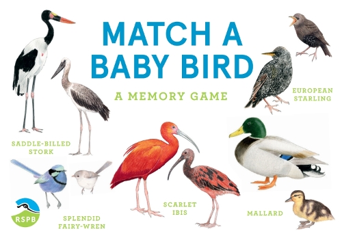 Match a Baby Bird 9781399608541 book cover