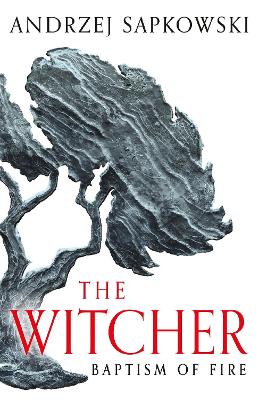 Baptism of Fire: Witcher 3  Now a major Netflix show - The Witcher Andrzej Sapkowski, David French 9781399611435 book cover
