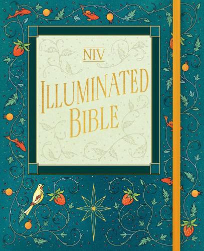NIV Illuminated Bible New International Version 9781399820523 book cover