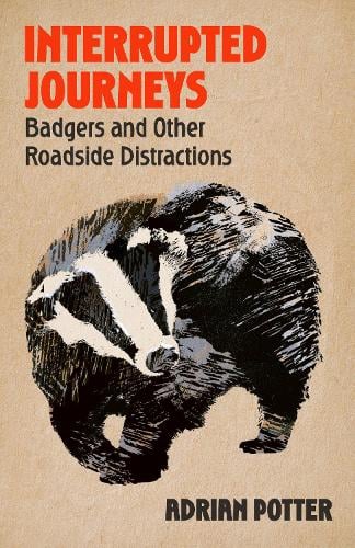 Interrupted Journeys: Badgers and Other Roadside Distractions Adrian Potter 9781399822404 book cover