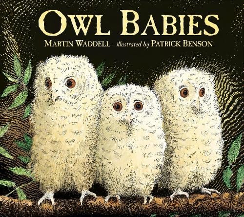 Owl Babies (Board book) Martin Waddell, Patrick Benson 9781406374377 book cover