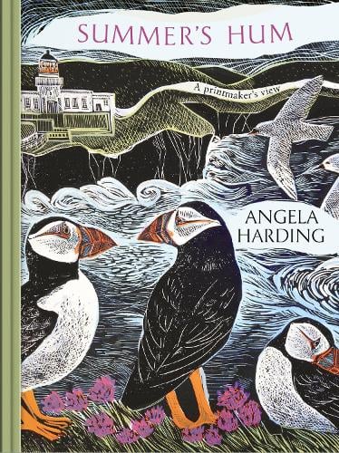 Summer's Hum Angela Harding 9781408721933 book cover