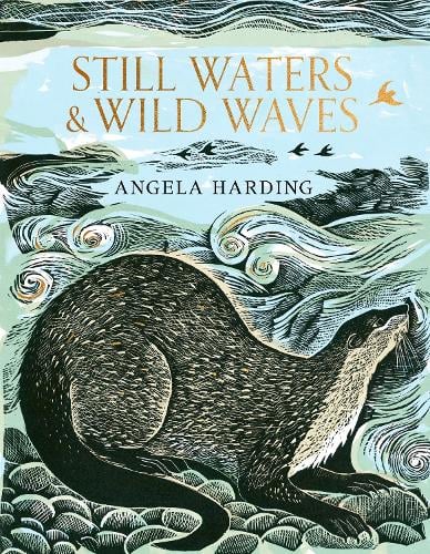 Still Waters & Wild Waves Angela Harding 9781408726815 book cover