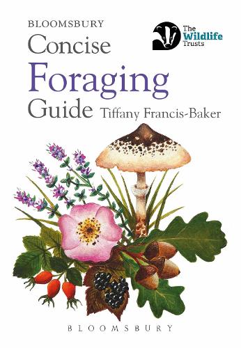 Concise Foraging Guide - Concise Guides Tiffany Francis-Baker 9781472984746 book cover