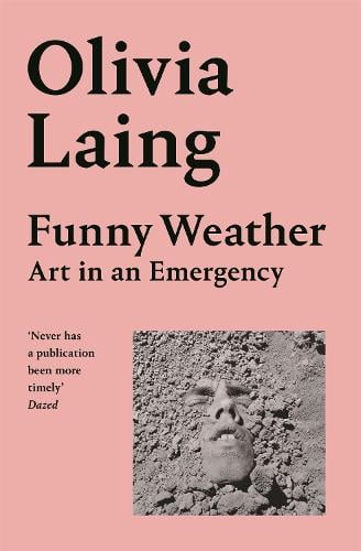 Funny Weather: Art in an Emergency Olivia Laing 9781529027655 book cover