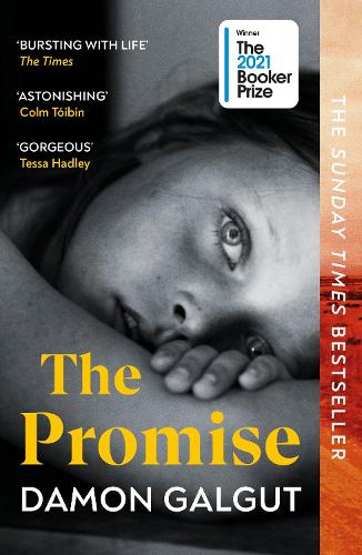 The Promise Damon Galgut 9781529113877 book cover