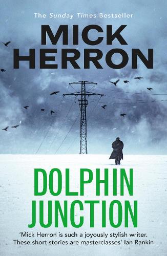 Dolphin Junction Mick Herron 9781529371284 book cover