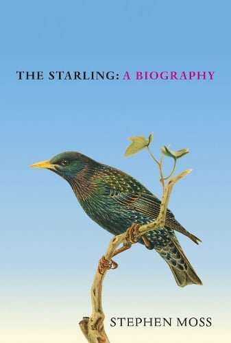 The Starling: A Biography - The Bird Biography Series Stephen Moss 9781529908282 book cover