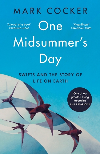 One Midsummer's Day: Swifts and the Story of Life on Earth Mark Cocker 9781529921991 book cover