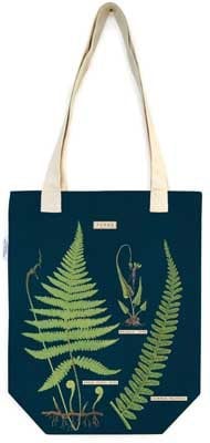 Ferns Cloth Bag 9781635444797 book cover
