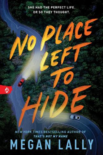 No Place Left to Hide Megan Lally 9781728270142 book cover