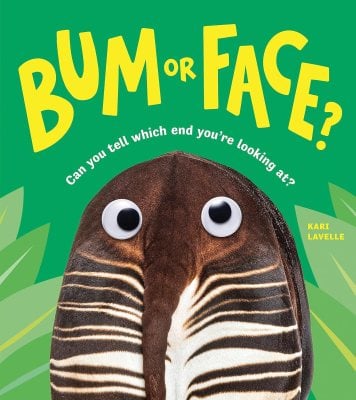 Bum or Face Kari Lavelle 9781728292908 book cover