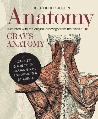 Anatomy: A Complete Guide to the Human Body, for Artists & Students Christopher Joseph 9781782401278 book cover
