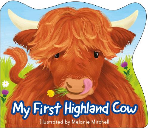 My First Highland Cow - Wee Kelpies Melanie Mitchell 9781782508342 book cover
