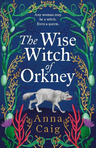 The Wise Witch of Orkney: A spell-binding debut novel about Scotlands witch-hunting hysteria Anna Caig 9781785308499 book cover