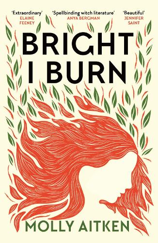 Bright I Burn Molly Aitken 9781786898371 book cover