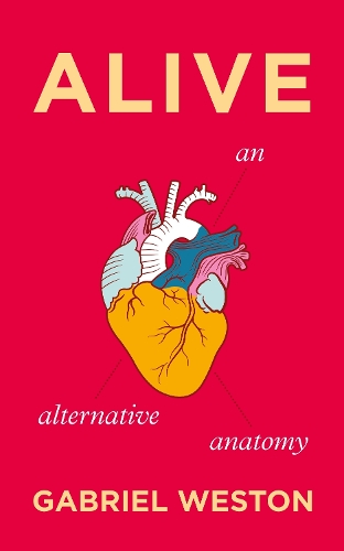 Alive: An Alternative Anatomy Gabriel Weston 9781787330603 book cover