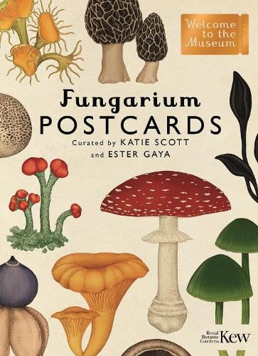 Fungarium Postcards - Welcome To The Museum Ester Gaya, Katie Scott 9781787419896 book cover