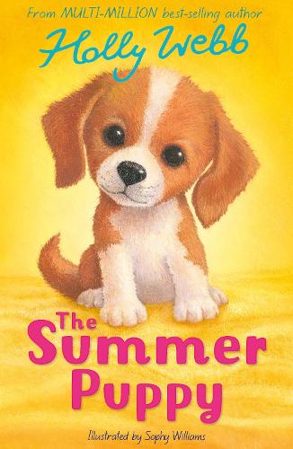 The Summer Puppy - Holly Webb: Animal Stories Holly Webb, Sophy Williams 9781788957588 book cover