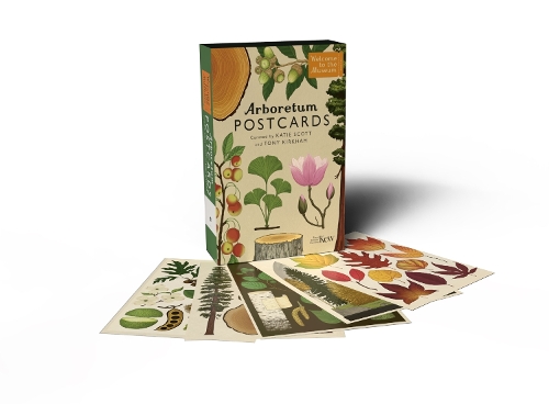 Arboretum Postcards - Welcome To The Museum Katie Scott Limited, Royal Botanic Gardens Kew PLG 9781800783928 book cover